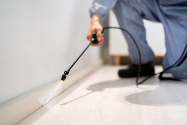 Licensed Pest Control service in Mill Plain, CT - Show Me Pest Control