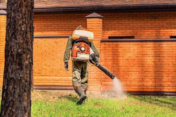 Bed Bug Clearance Verification and Documentation in Mill Plain